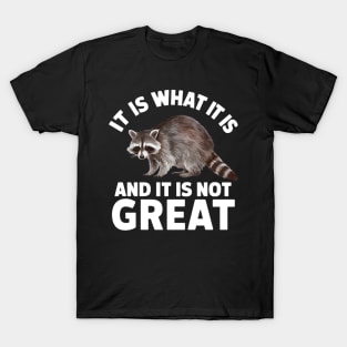 It is What It is and It is Not Great Design Raccoon T-Shirt